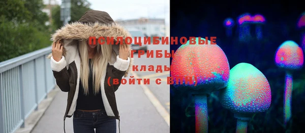 стафф Арсеньев