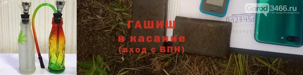 мяу мяу мука Аркадак