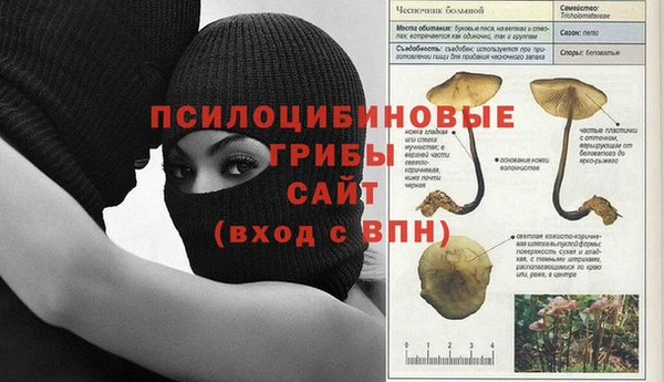 мяу мяу мука Аркадак