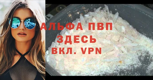 стафф Арсеньев